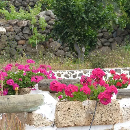 Finca La Cuadra De Arona Holiday home *